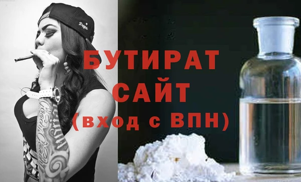 индика Елабуга
