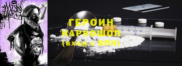 индика Елабуга