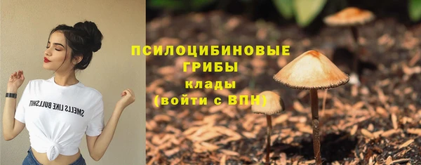твердый Елизово