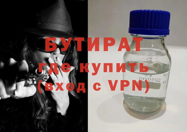 индика Елабуга