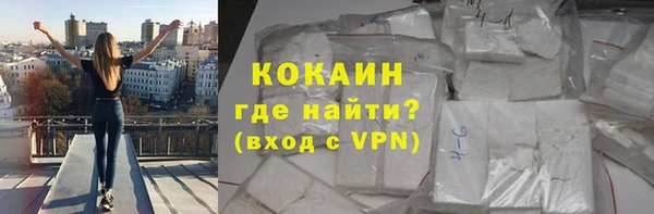 индика Елабуга