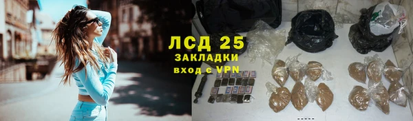 индика Елабуга