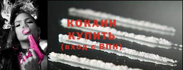 индика Елабуга
