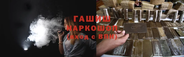 индика Елабуга