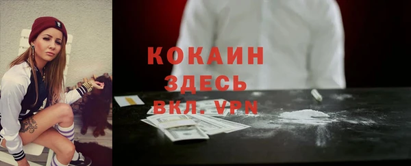 индика Елабуга