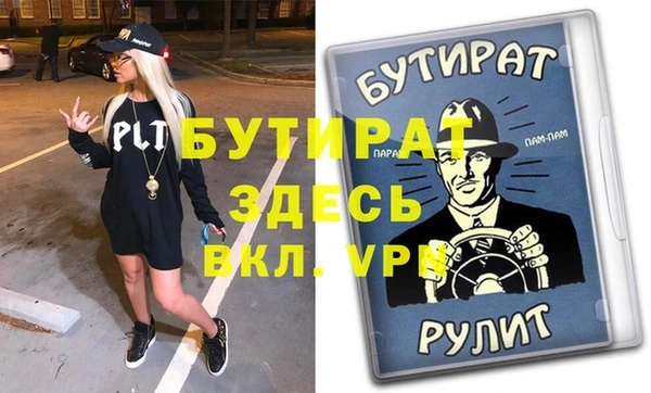 индика Елабуга