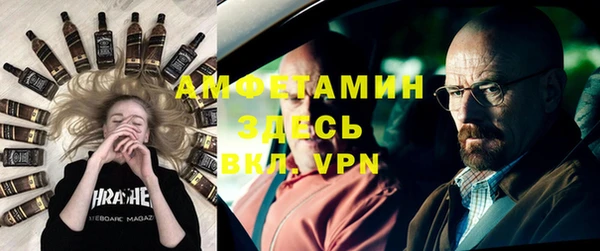 индика Елабуга