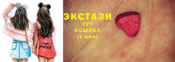 индика Елабуга
