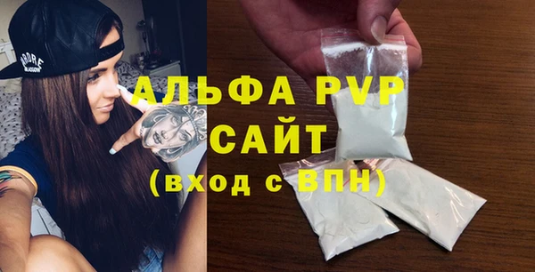 индика Елабуга