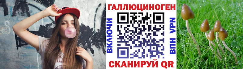 МЕГА tor  Печоры  Галлюциногенные грибы мицелий  купить наркотик 